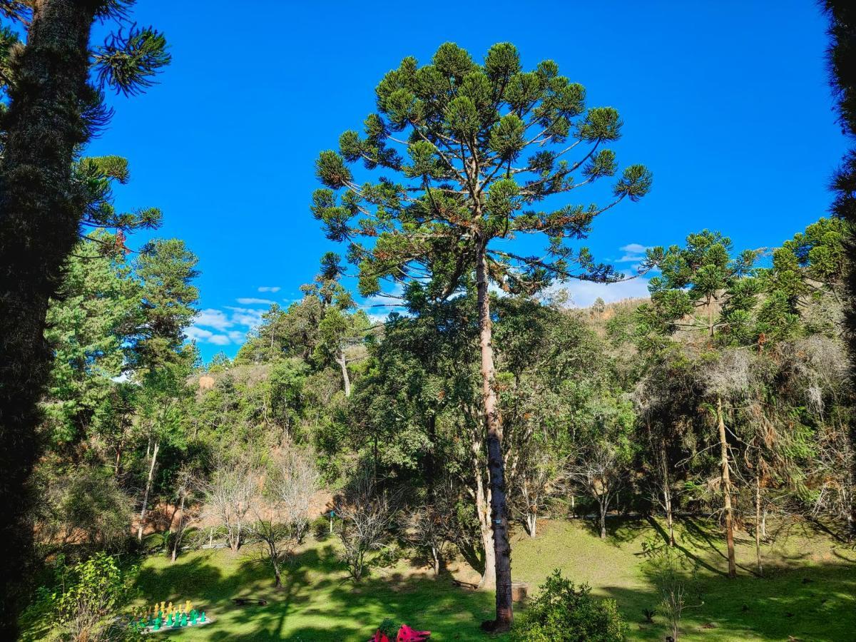 Golden Park